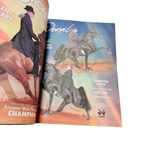 The Walking Horse Report -June 19, 2023 Walking for Cancer Grand Champ - Picture 7 of 8